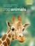 Zoo Animals: Behaviour, Management, and Welfare