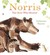 Norris the Bear Who Shared. Catherine Rayner (Hardcover)