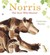 Norris the Bear Who Shared. Catherine Rayner (Paperback)