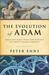 The Evolution of Adam: What...