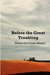 Before the Great Troubling: Poems