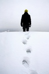 The Art of Walking in Snow