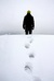 The Art of Walking in Snow