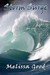 Storm Surge (Paperback)