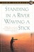 Standing in a River Waving a Stick