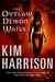 The Outlaw Demon Wails (ebook)