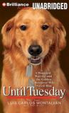 Until Tuesday by Luis Carlos Montalván Until Tuesday by Luis Carlos Montalván