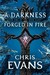 A Darkness Forged In Fire: Book One Of The Iron Elves