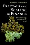 Fractals and Scaling in Finance: Discontinuity, Concentration, Risk