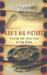 God's Big Picture: Tracing The Storyline Of The Bible (Paperback)