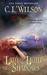 Lady of Light and Shadows (ebook)
