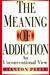 The Meaning of Addiction: A...