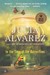 In the Time of the Butterflies (Hardcover)