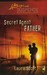 Secret Agent Father (Steepl...