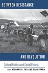 Between Resistance and Revolution: Cultural Politics and Social Protest Between Resistance and Revolution: Cultural Politics and Social Protest