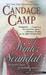 A Winter Scandal (Hardcover)