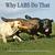 Why Labs Do That: A Collect...