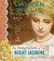 The Temptation of the Night Jasmine (Pink Carnation, #5)