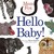 Hello Baby! (Board Book)