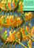 The Oxford Illustrated Hist...