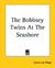 The Bobbsey Twins at the Seashore (Bobbsey Twins, #3)