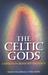 The Celtic Gods: Comets in Irish Mythology