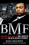 BMF: The Rise and Fall of Big Meech and the Black Mafia Family