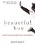 Beautiful Boy: A Father's Journey Through His Son's Meth Addiction (Audio CD)