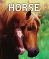 Horse Horse