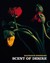 Balthasar Burkhard: Scent o...