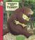 Where's My Teddy? Big Book (Paperback)