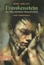 Frankenstein, Or, the Modern Prometheus: With Connections