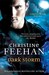 Dark Storm (Paperback)