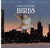A Place for Birds by Melissa Stewart A Place for Birds by Melissa Stewart