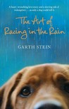 Art Of Racing In The Rain