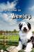 My Name Is Henley by Judith Kristen