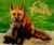 City Foxes by Wendy Shattil City Foxes by Wendy Shattil