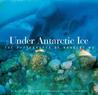 Under Antarctic Ice: The Photographs of Norbert Wu Under Antarctic Ice: The Photographs of Norbert Wu