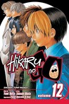 Hikaru no Go: Sai's Day Out, Vol. 12 (Hikaru no Go, #12)