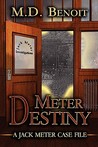 Meter Destiny Meter Destiny