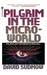 Pilgrim in the Microworld