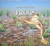 A Place For Frogs