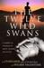 The Twelve Wild Swans: A Journey to the Realm of Magic, Healing, and Action (ebook)