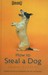 How to Steal a Dog (Hardcover)