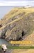 THE PIG DID IT (Paperback)