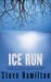 Ice Run (Alex McKnight, #6)