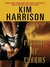 A Fistful of Charms (The Hollows, #4)