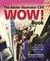 The Adobe Illustrator CS4 W...