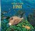 A Place for Fish by Melissa Stewart A Place for Fish by Melissa Stewart