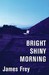 Bright Shiny Morning (ebook)